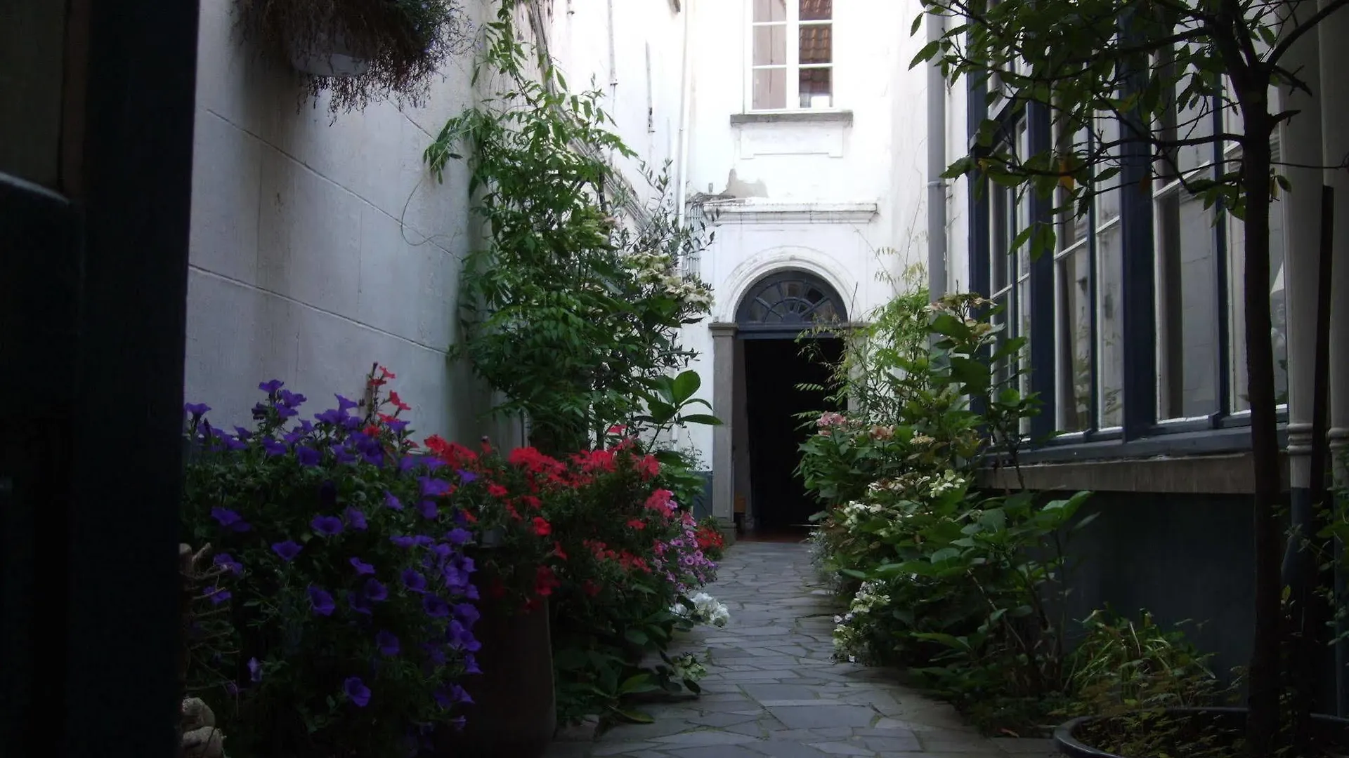 B&B De Koning Van Spanje Antwerpen Bed & Breakfast